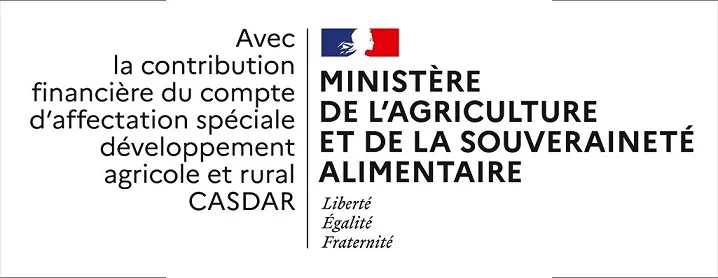 Logo - MASDA CASDAR